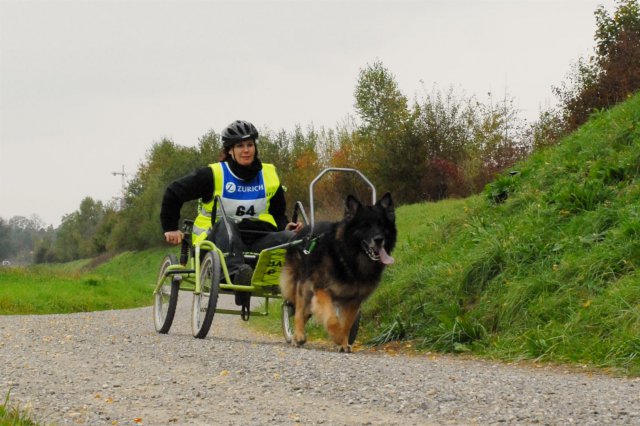 Rennen Weinfelden